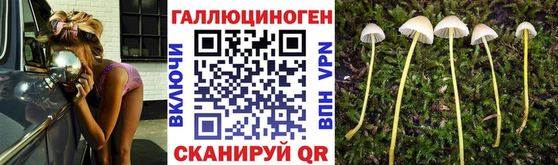 купить наркоту Малмыж Галлюциногенные грибы GOLDEN TEACHER